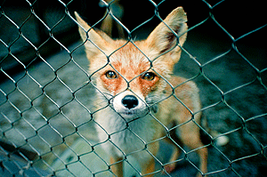 ����@���o�W