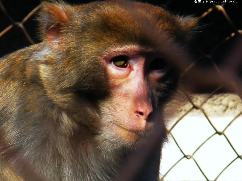 ��(d��ng)��@���P��K�W(w��ng)����Ҏ(gu��)��