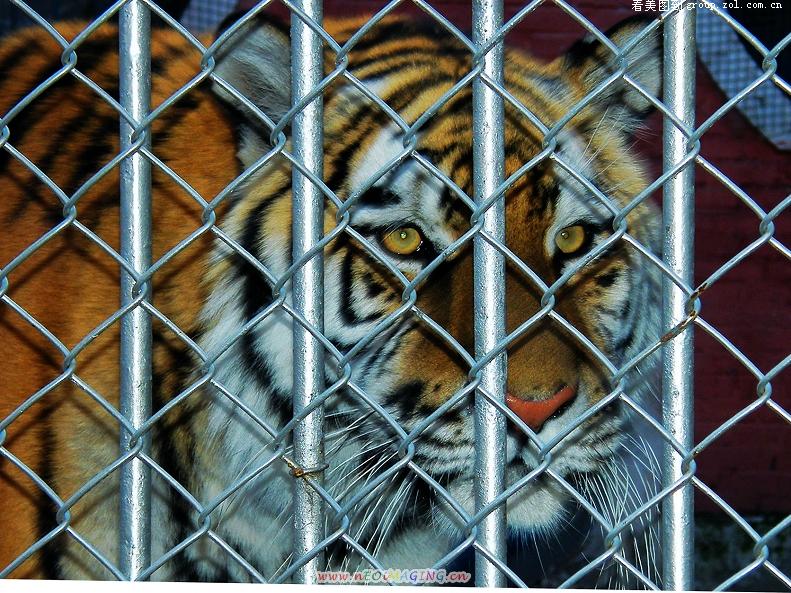 ��(d��ng)��@���P��K�W(w��ng)��(y��u)�c(di��n)