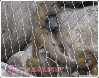 ��(d��ng)��@���P��K�W(w��ng)