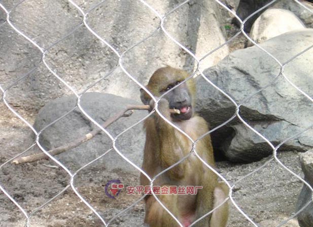 ��(d��ng)��@���P��K�W(w��ng)