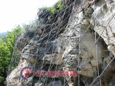 SPIDER֩��W(w��ng) - ߅�·�(w��n)��ϵ�y(t��ng)