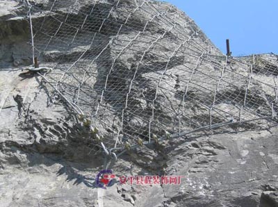 SPIDER֩��W(w��ng) - ߅�·�(w��n)��ϵ�y(t��ng)