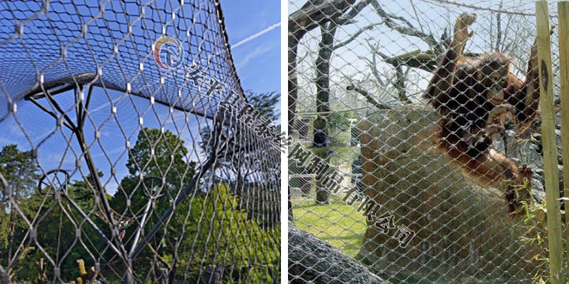 ����@���o�W