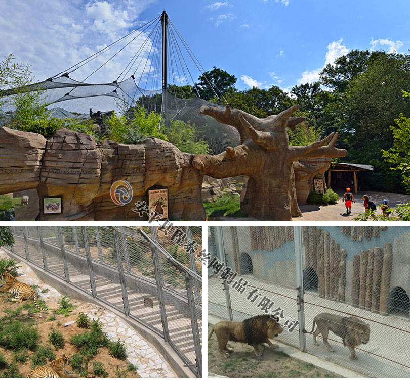 ��(d��ng)��@���P��K�W(w��ng)�DƬ