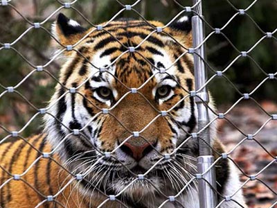 ����@�\��W