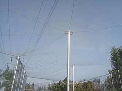 �����B(ni��o)�Z(y��)�־W(w��ng)���̰���