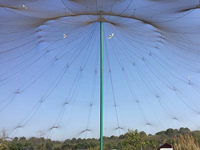 �؎X�B(ni��o)�Z(y��)�־W(w��ng),��(d��ng)��@���o(h��)�W(w��ng)���̰���