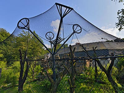 ��(d��ng)��@���o(h��)�W(w��ng),��̩���P��K�W(w��ng)���̰���