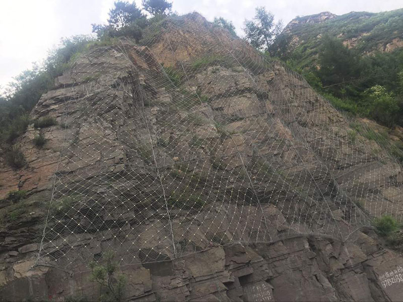 ���־��^(q��)����(d��ng)���o(h��)�W(w��ng)���b�F(xi��n)��(ch��ng)